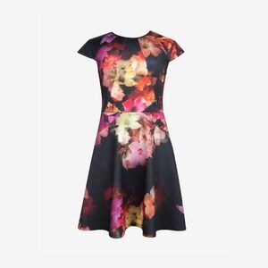 Ted Baker Embla Cascading Floral Skater Dress in Pink